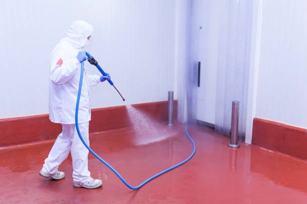 Boat and Dock Cleaning in Woodville, WI