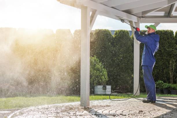 Best Sign and Awning Cleaning  in Woodville, WI