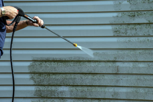 Best Spring Cleaning  in Woodville, WI