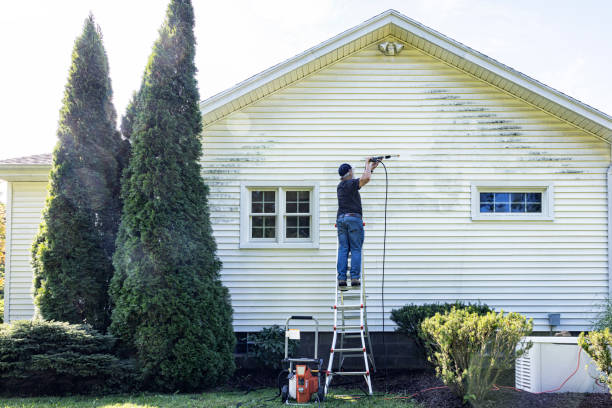 Best Soft Washing  in Woodville, WI